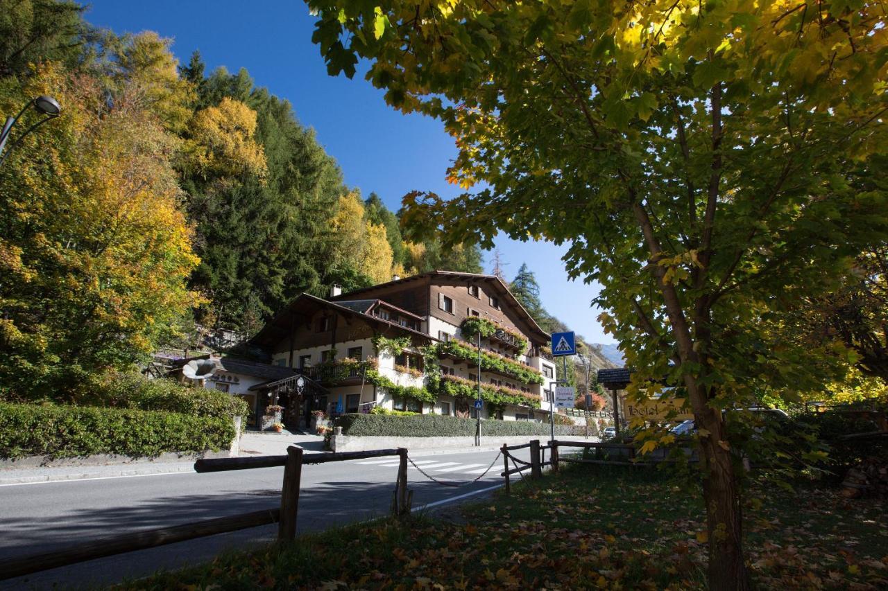 Daniela Hotel